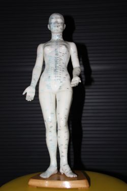 Akupunktur der Chinesischen Medizin